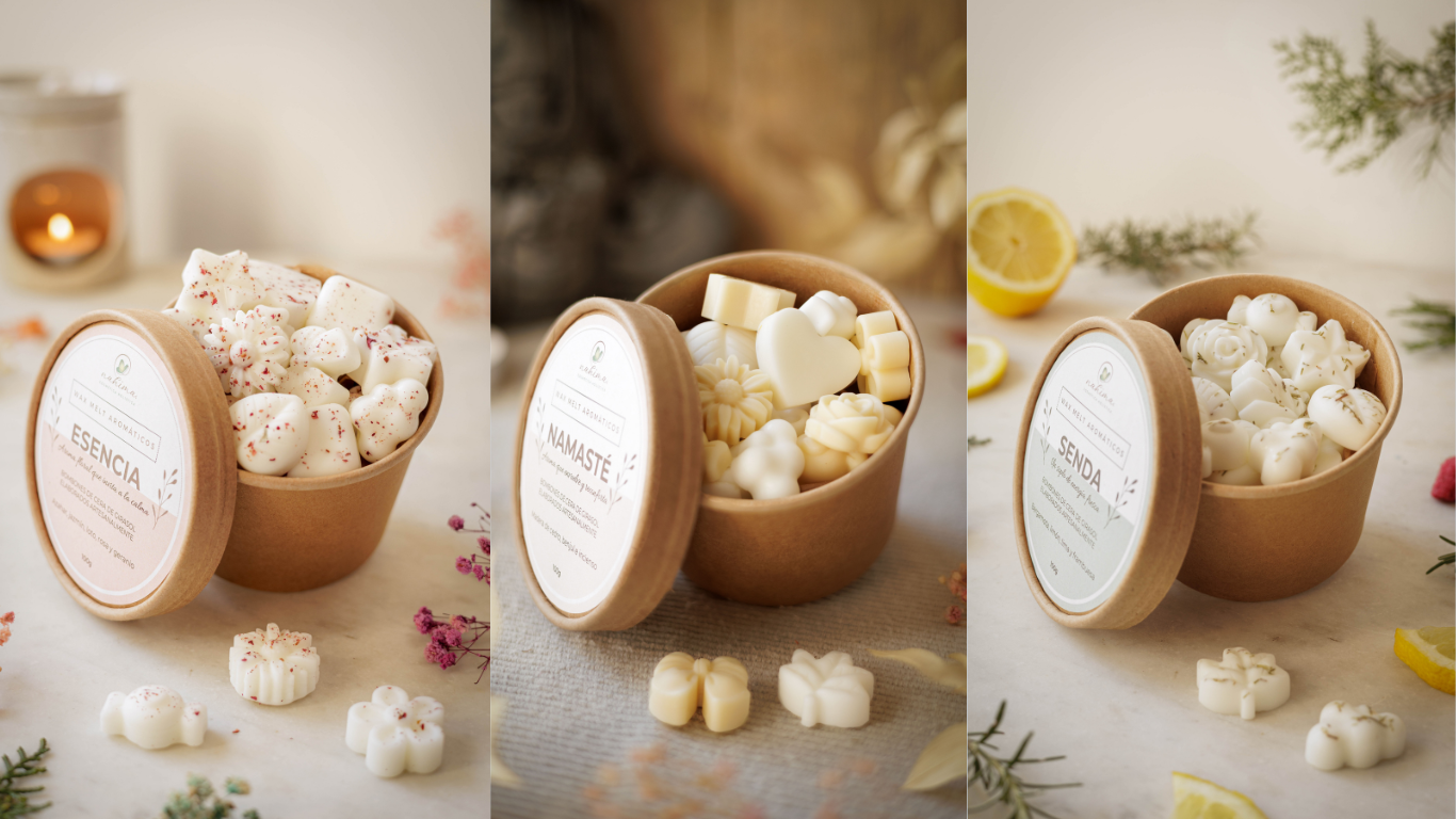 Colección de Wax Melts